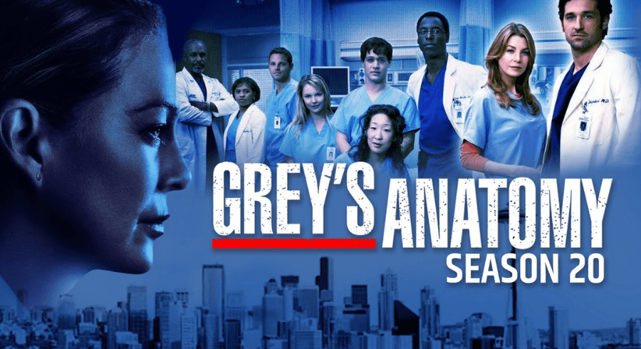 Grey's anatomy season 20