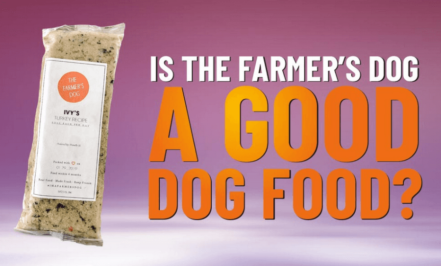 Is the farmer's dog right for you