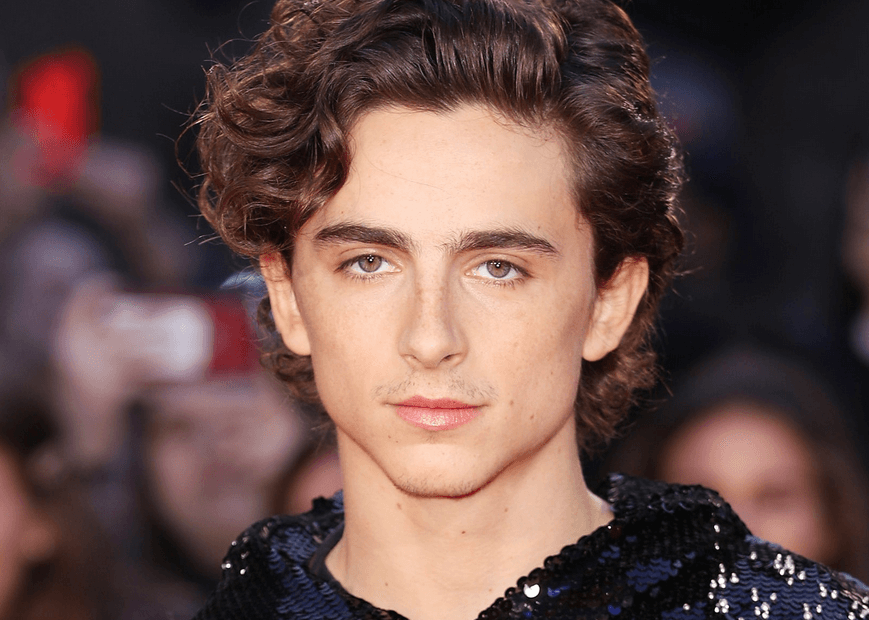 timothee chalamet hair