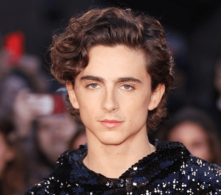 timothee chalamet hair