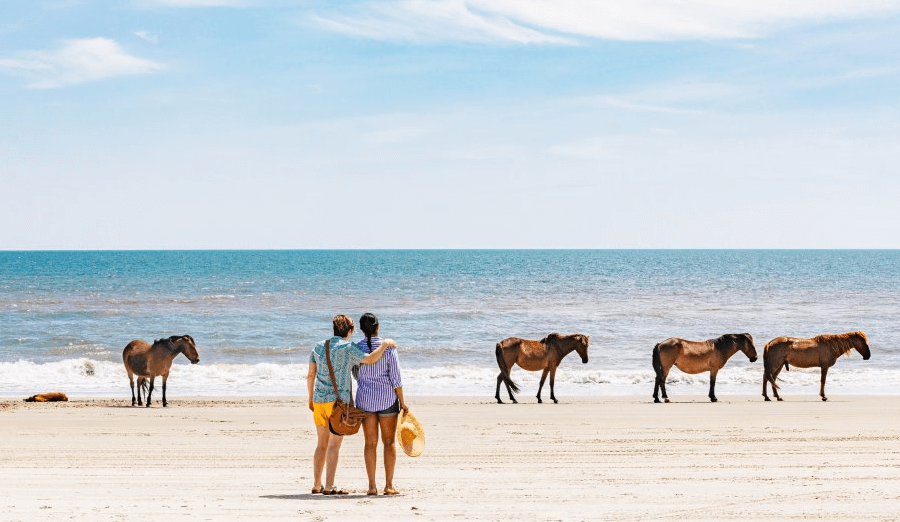 Outer banks north carolina