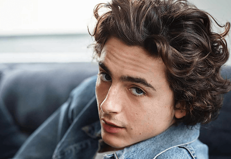 why timothée chalamet’s hair matters in pop culture