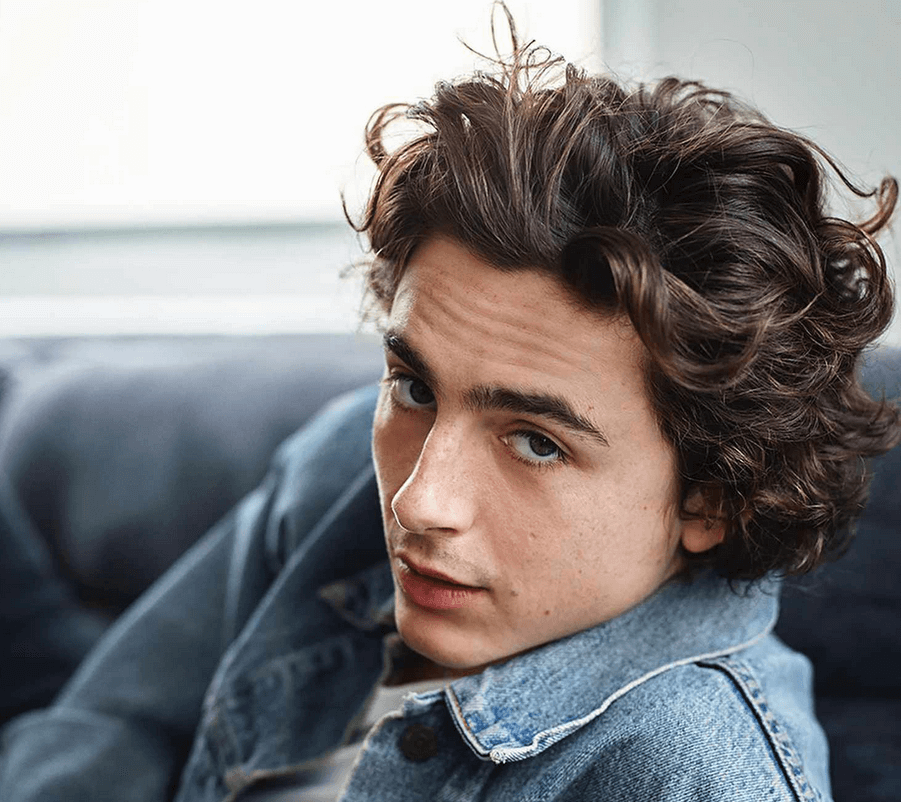 Timothee chalamet hair