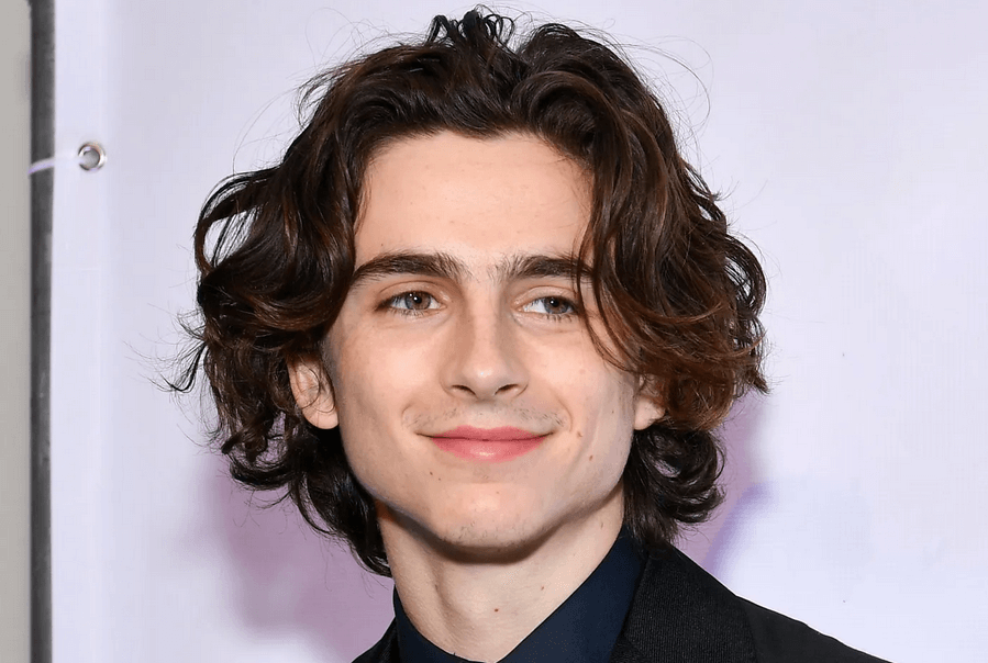 how to achieve timothée chalamet’s hair