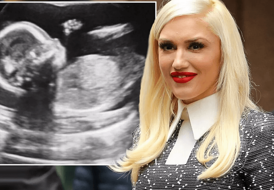 is gwen stefani pregnant