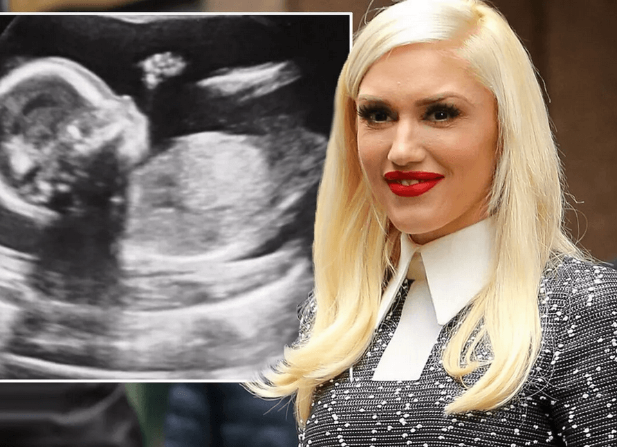 gwen stefani pregnant